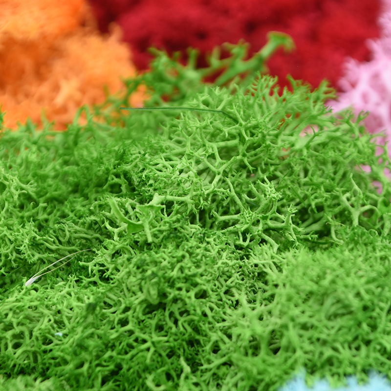 20/40g Artificial Green Plants - Terrarium Moss Art 리뷰 및 가격