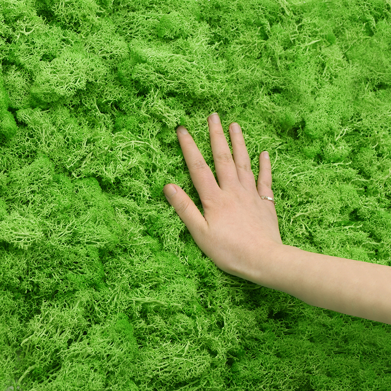 20/40g Artificial Green Plants - Terrarium Moss Art 리뷰 및 가격