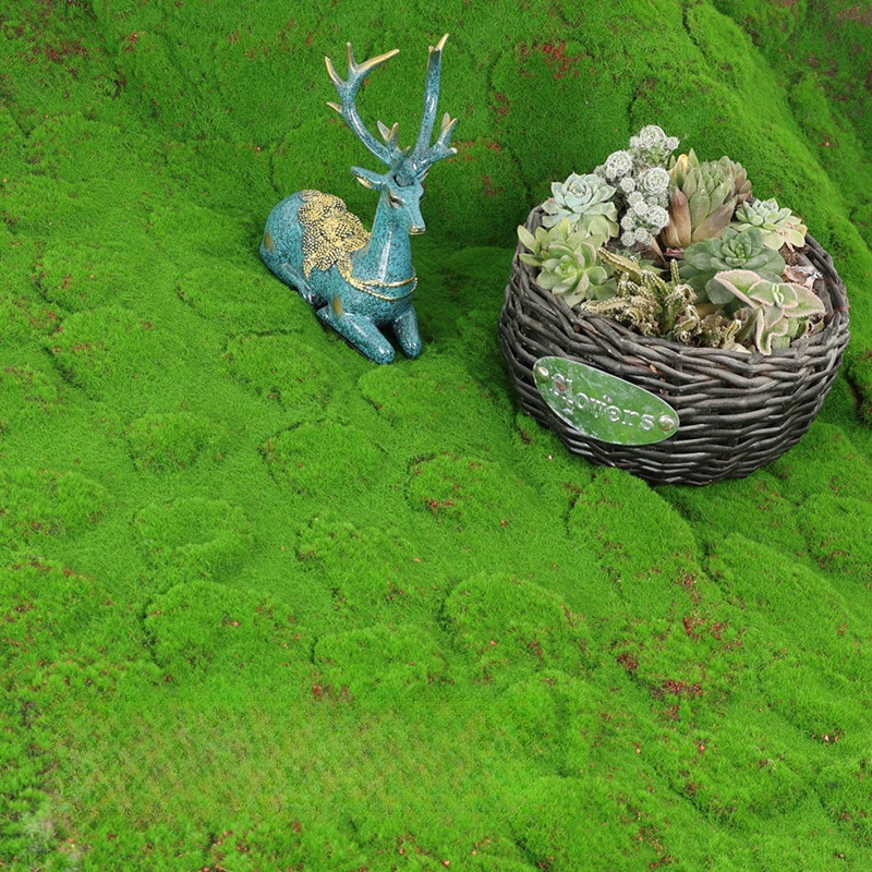 Artificial Turf Moss Simulatio - Terrarium Moss Art 리뷰 및 가격
