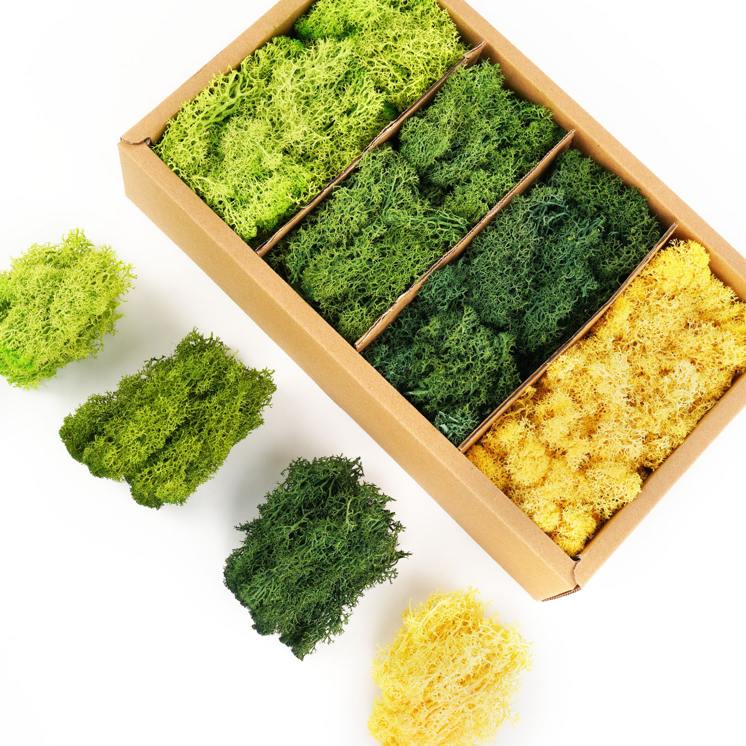 Artificial Green Plants Eterna - Terrarium Moss Art 리뷰 및 가격