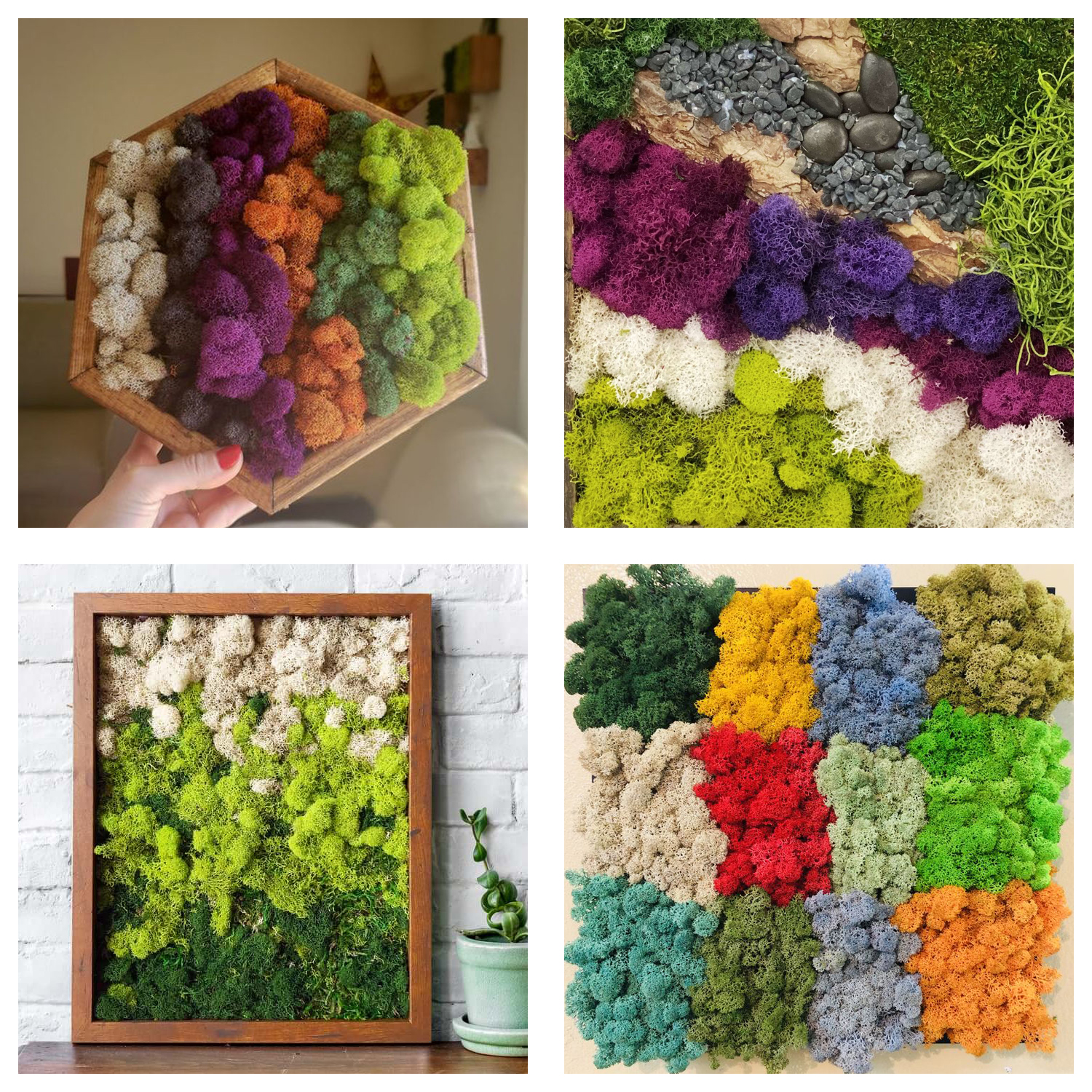 Artificial Green Plants Eterna - Terrarium Moss Art 리뷰 및 가격