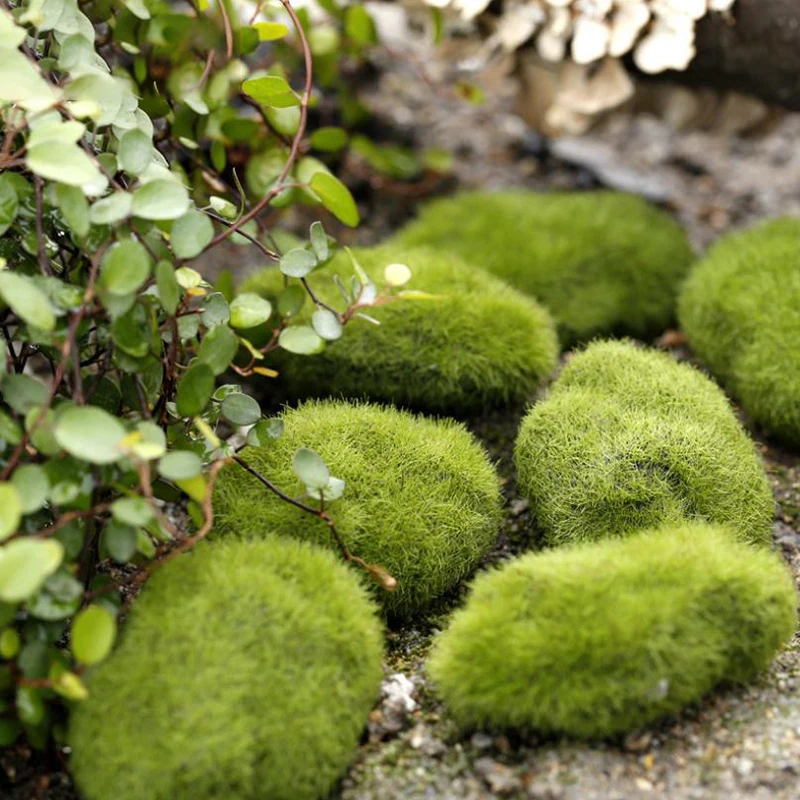 4Pcs Micro Landscape Artificia - Terrarium Moss Art 리뷰 및 가격