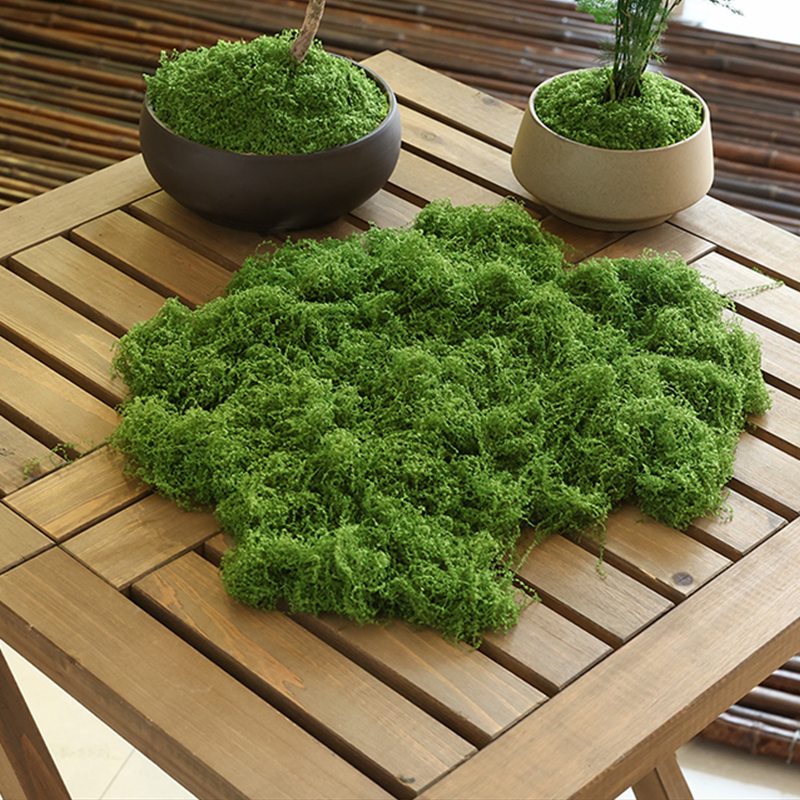 about 20g Artificial Green Pla - Terrarium Moss Art 리뷰 및 가격