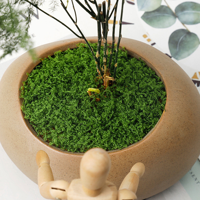 about 20g Artificial Green Pla - Terrarium Moss Art 리뷰 및 가격