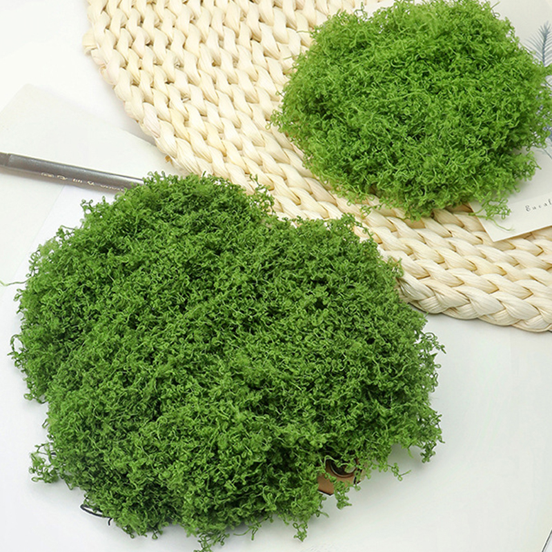 about 20g Artificial Green Pla - Terrarium Moss Art 리뷰 및 가격