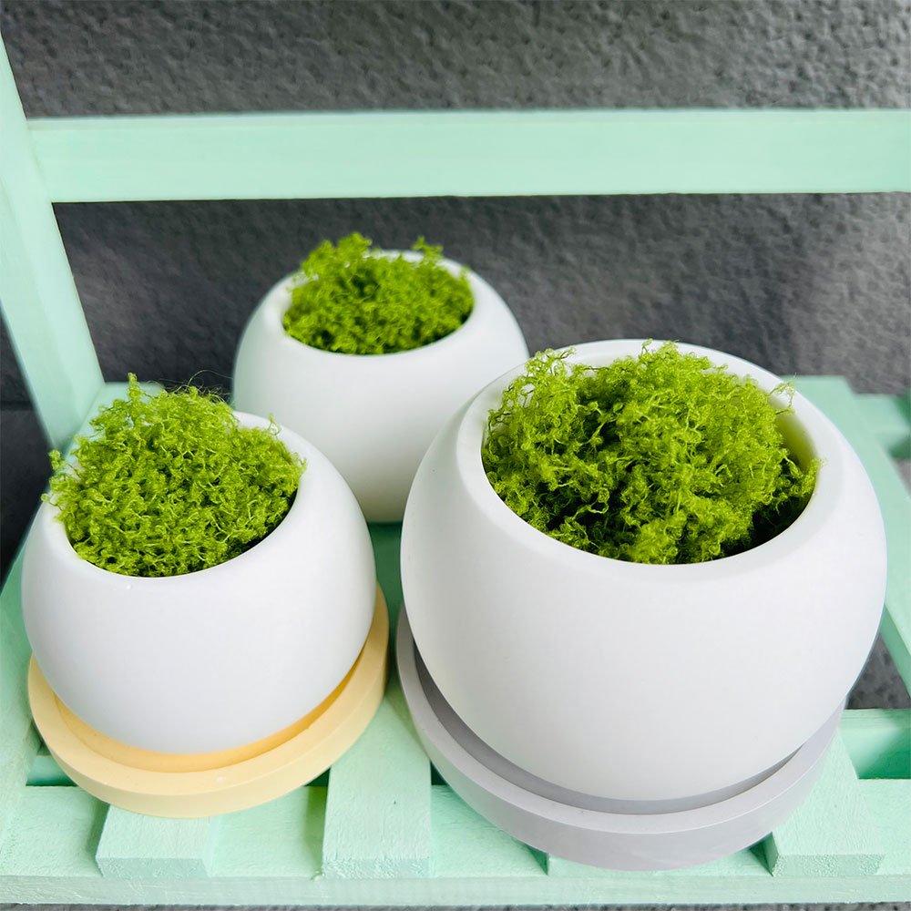 Spherical Flowerpot Silicone M - Serving Tray Mold 리뷰 및 가격