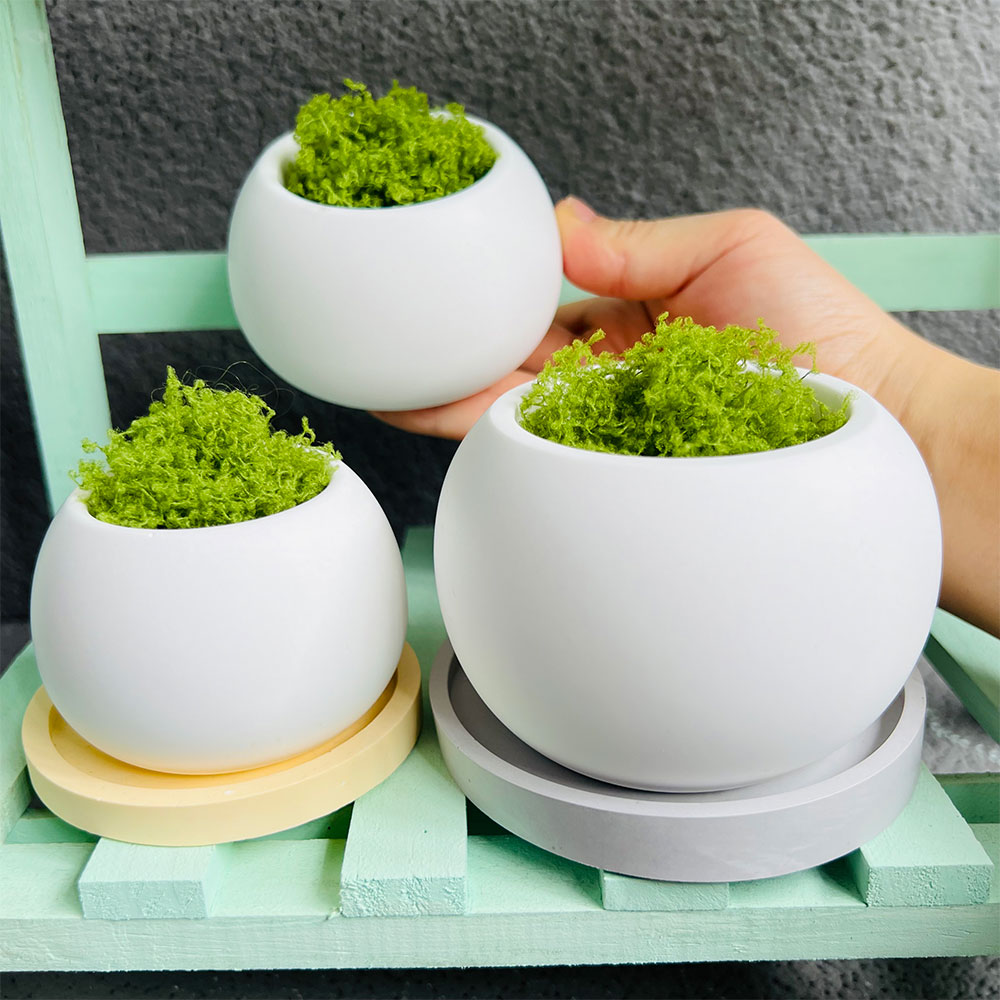 Spherical Flowerpot Silicone M - Serving Tray Mold 리뷰 및 가격
