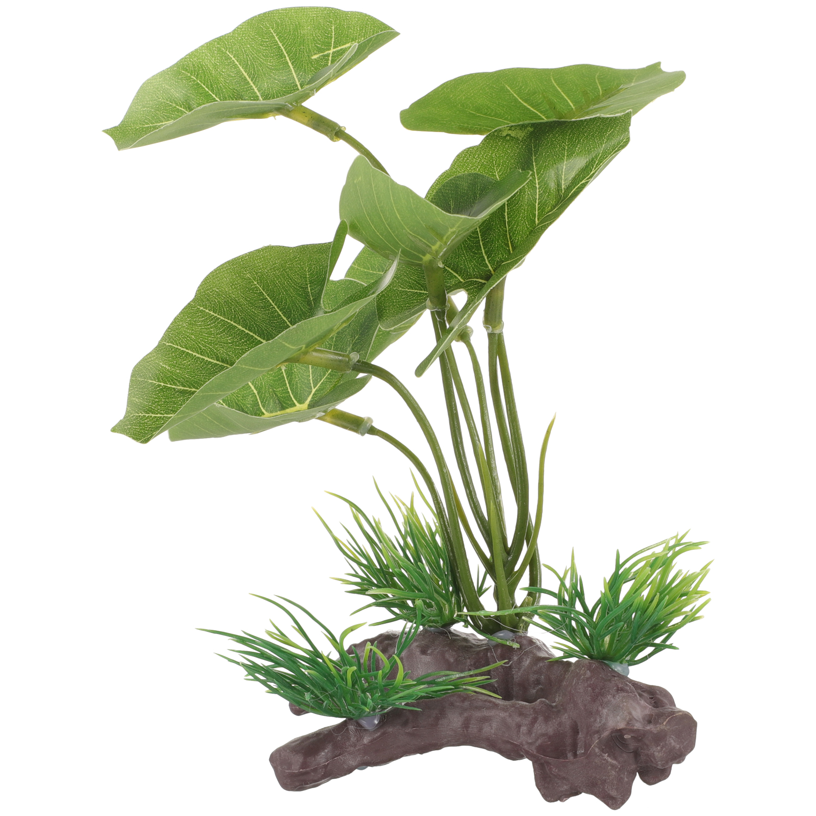 Fish Tank Artificial Water Pla - Terrarium Moss Art 리뷰 및 가격