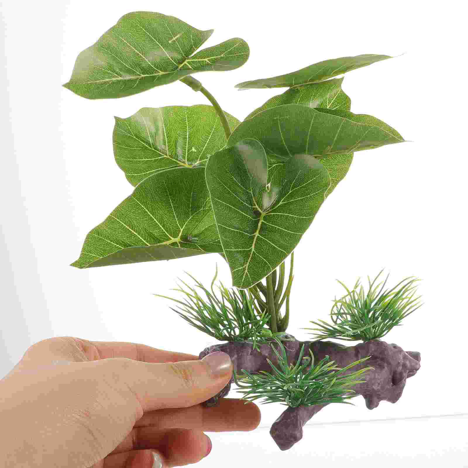 Fish Tank Artificial Water Pla - Terrarium Moss Art 리뷰 및 가격