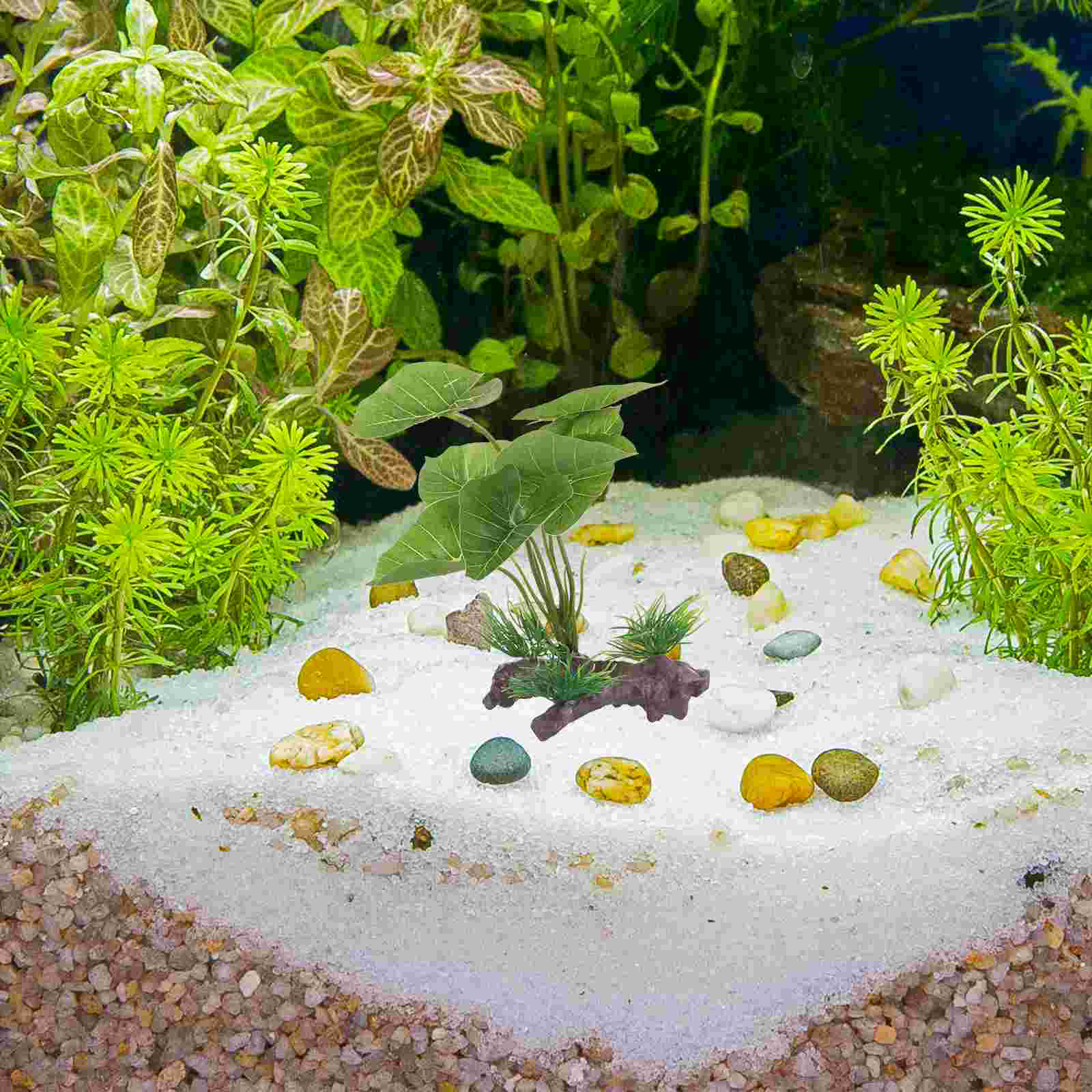 Fish Tank Artificial Water Pla - Terrarium Moss Art 리뷰 및 가격