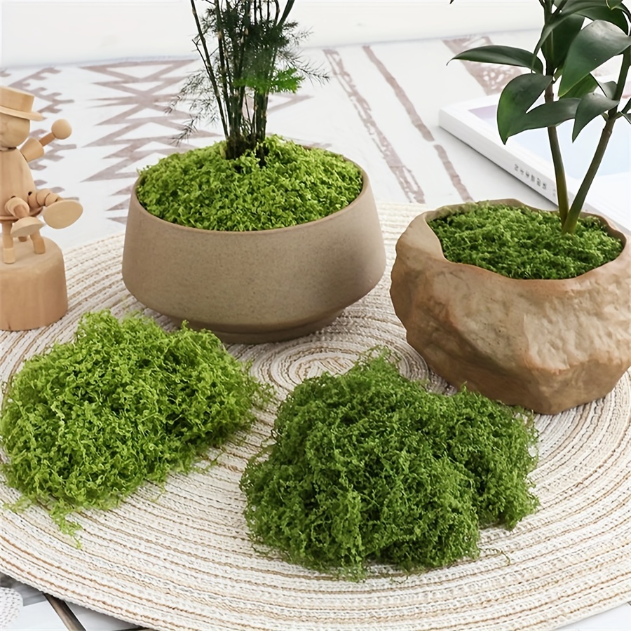 1pack Artificial Fake Moss, 1. - Terrarium Moss Art 리뷰 및 가격