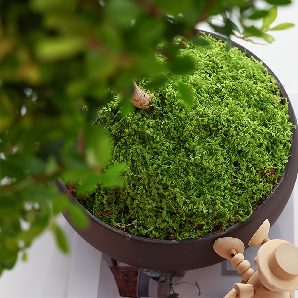 1pack Artificial Fake Moss, 1. - Terrarium Moss Art 리뷰 및 가격