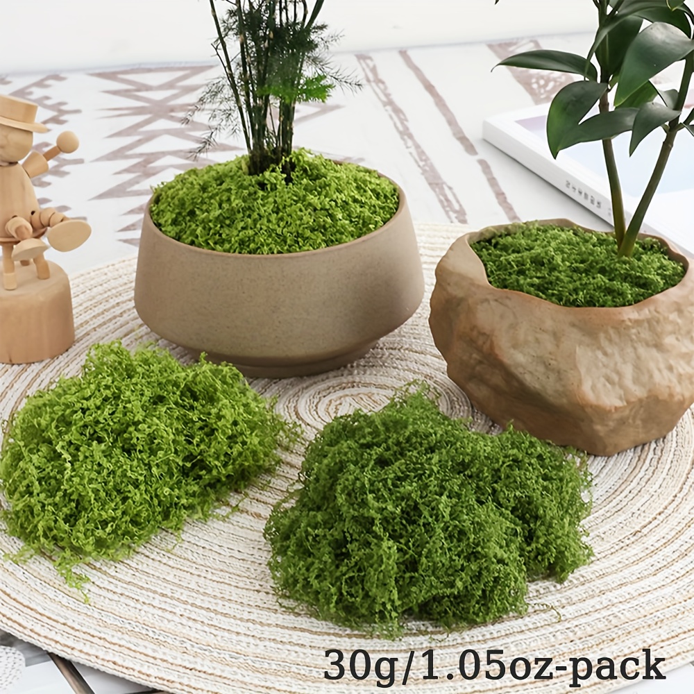 1pack Artificial Fake Moss, 1. - Terrarium Moss Art 리뷰 및 가격