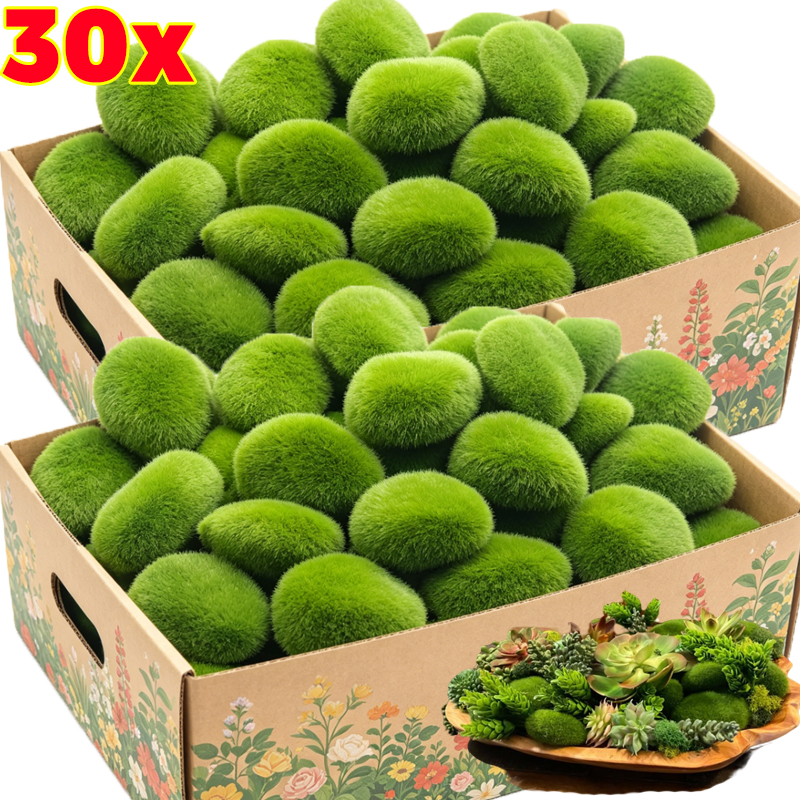 5/30pcs Simulation Moss Stone  - Terrarium Moss Art 리뷰 및 가격