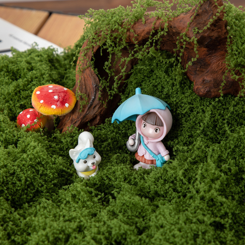 200g Eternal Life Moss DIY Cra - Terrarium Moss Art 리뷰 및 가격