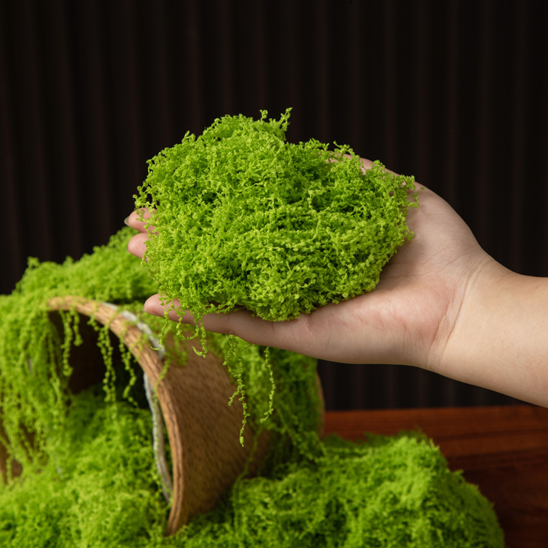 200g Eternal Life Moss DIY Cra - Terrarium Moss Art 리뷰 및 가격
