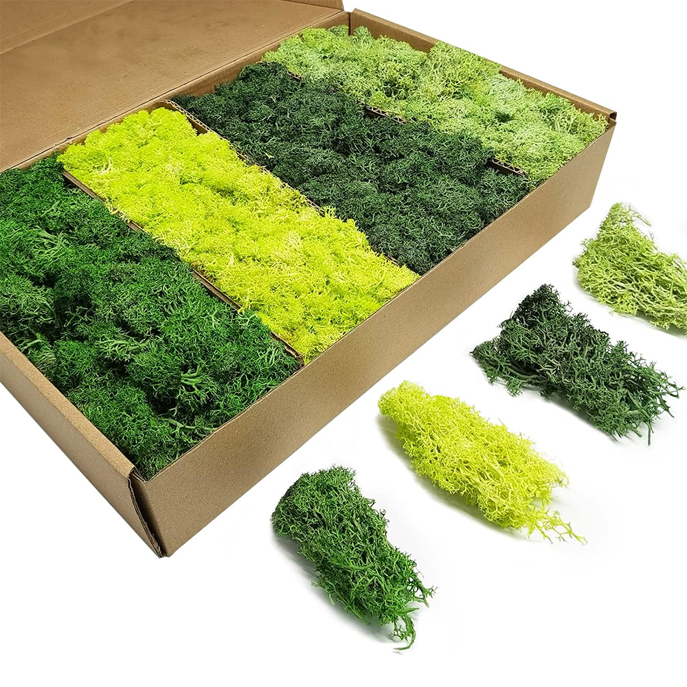 Artificial Green Plants Eterna - Terrarium Moss Art 리뷰 및 가격