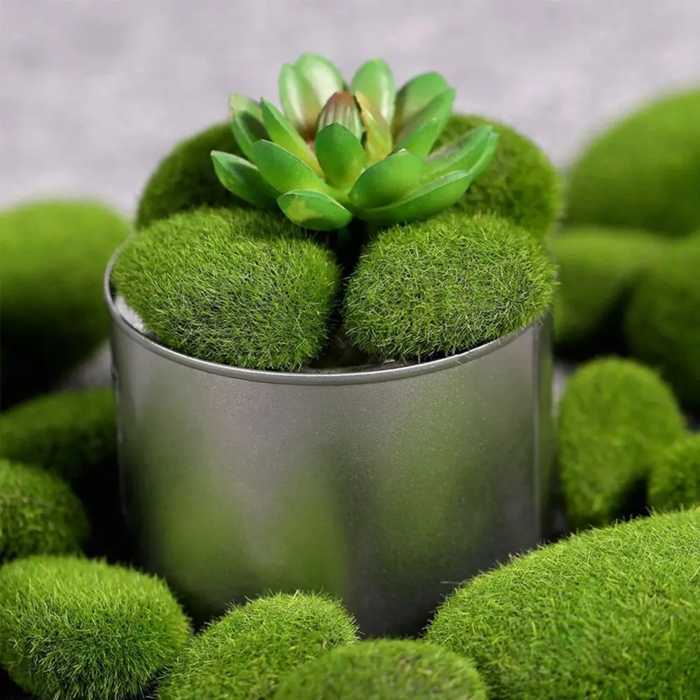 Floral Arrangements Fake Stone - Terrarium Moss Art 리뷰 및 가격