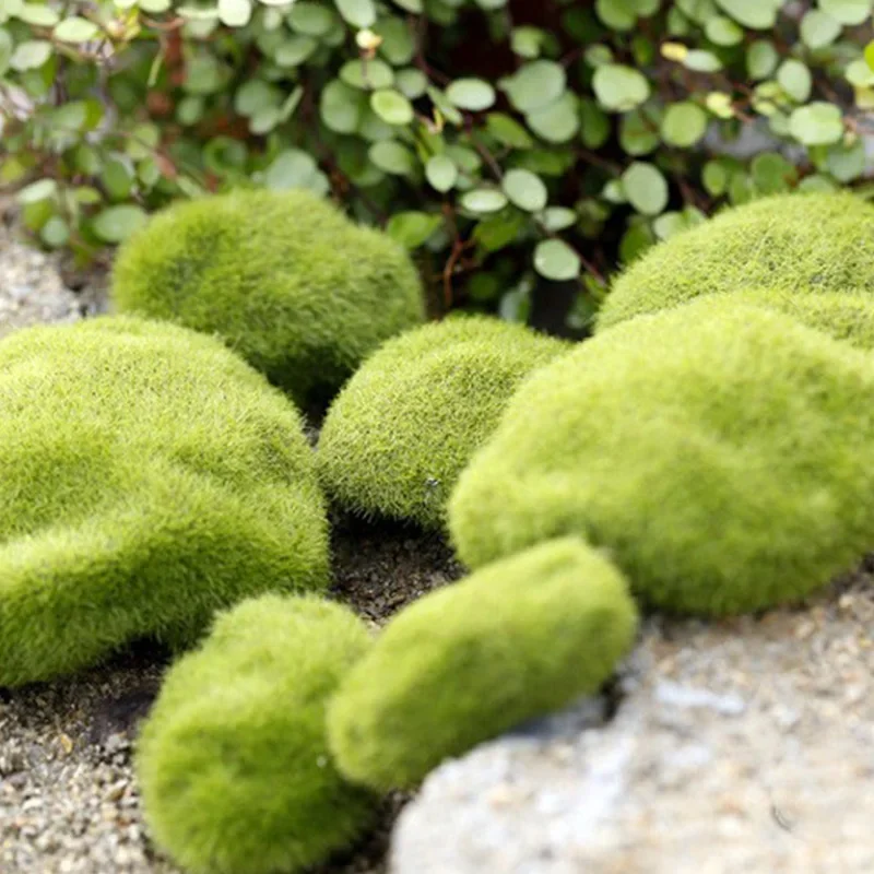 Fake Stone Artificial Moss Roc - Terrarium Moss Art 리뷰 및 가격