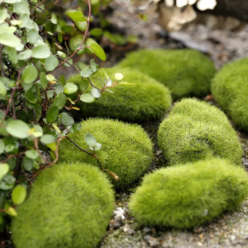 Fake Stone Artificial Moss Roc - Terrarium Moss Art 리뷰 및 가격