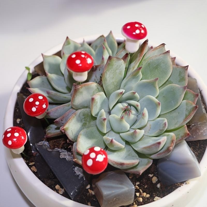 10-80PCS Mini Color Mushroom D - Terrarium Moss Art 리뷰 및 가격