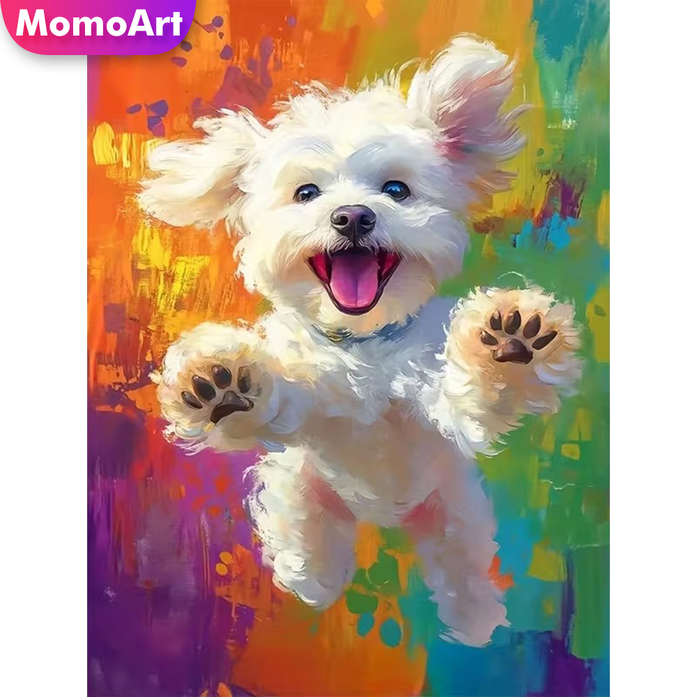 Momoart DIY Diamond Painting D - Resin Craft For Beginners 리뷰 및 가격