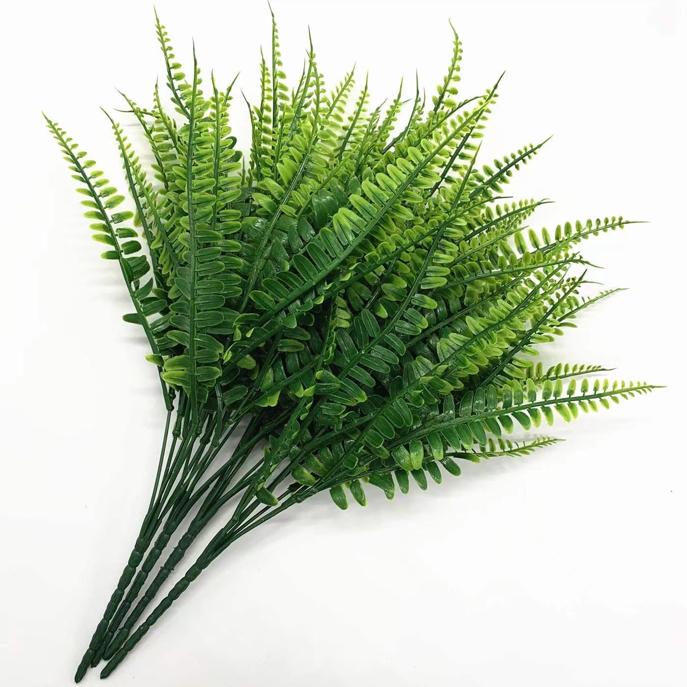 Artificial Persian Ferns Flowe - Terrarium Moss Art 리뷰 및 가격