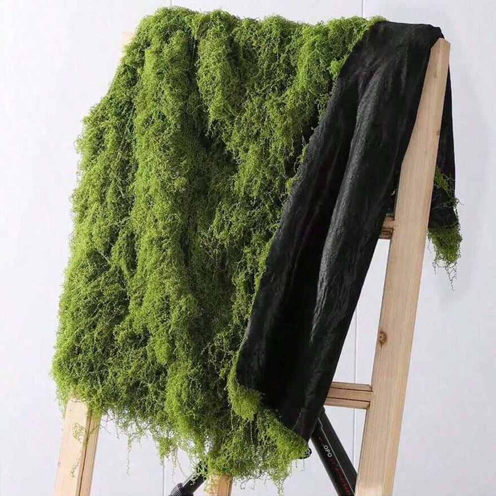 1*1m Fake Moss DIY Crafts Gras - Terrarium Moss Art 리뷰 및 가격