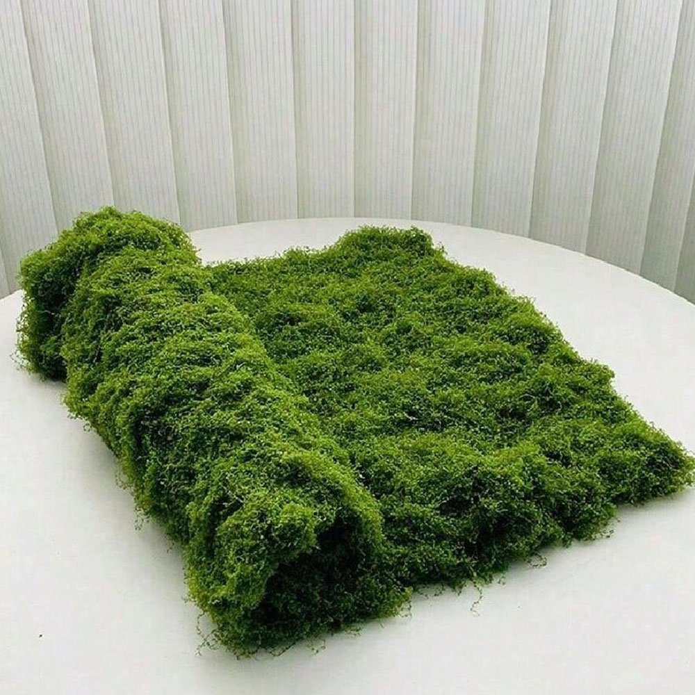 1*1m Fake Moss DIY Crafts Gras - Terrarium Moss Art 리뷰 및 가격