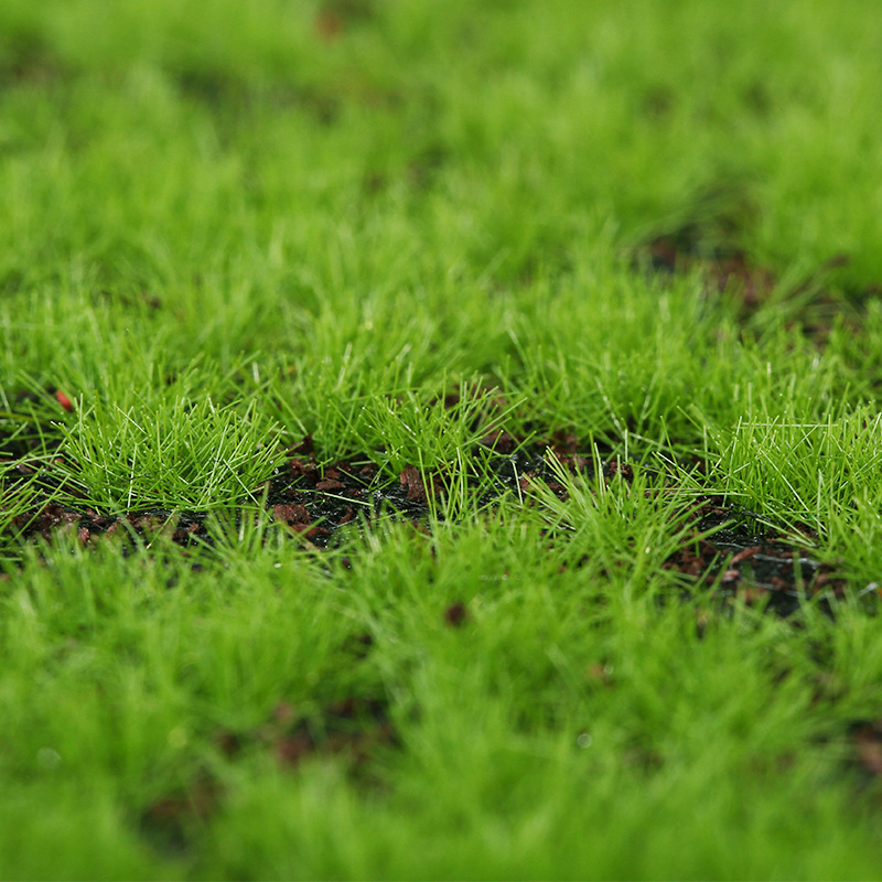 Artificial Moss Fake Green Mos - Terrarium Moss Art 리뷰 및 가격