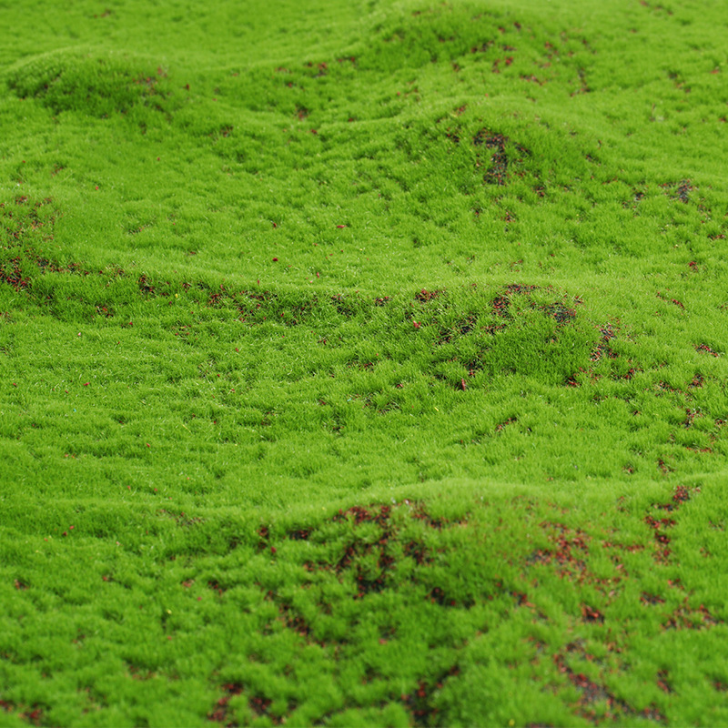 Artificial Moss Fake Green Mos - Terrarium Moss Art 리뷰 및 가격
