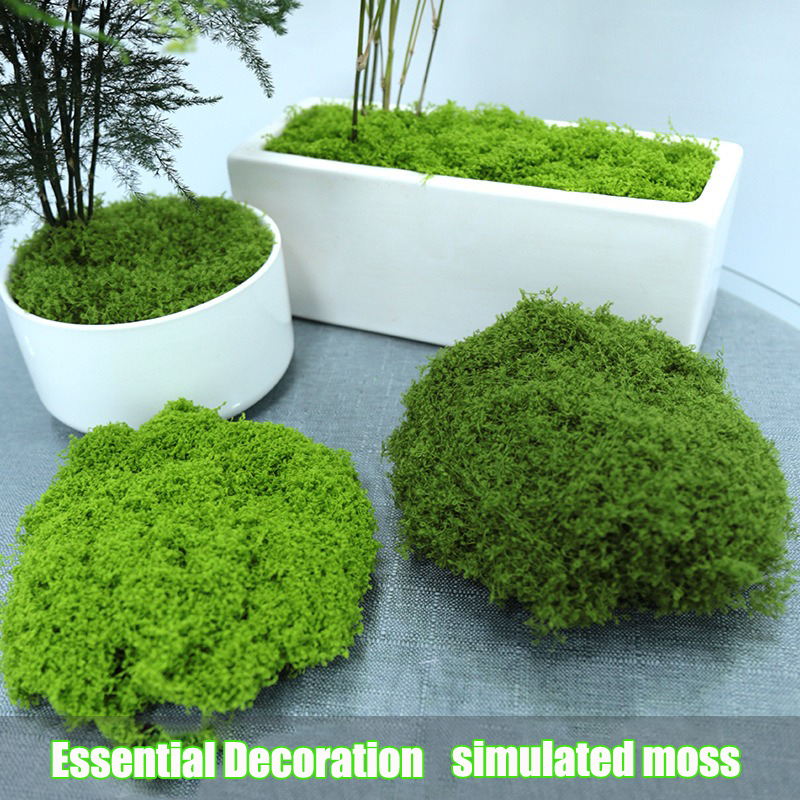 Artificial simulation of moss  - Terrarium Moss Art 리뷰 및 가격