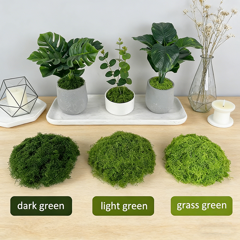 Artificial simulation of moss  - Terrarium Moss Art 리뷰 및 가격