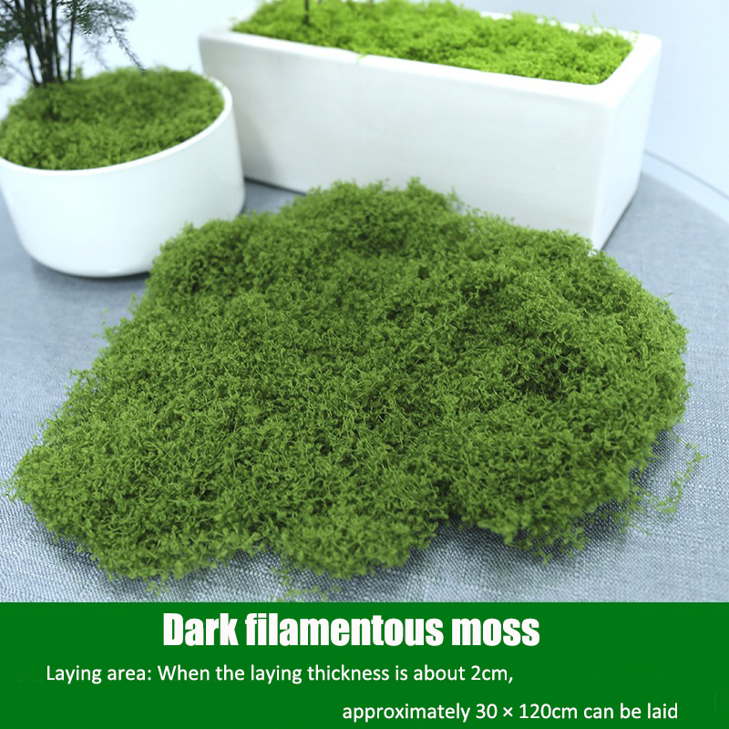 Artificial simulation of moss  - Terrarium Moss Art 리뷰 및 가격