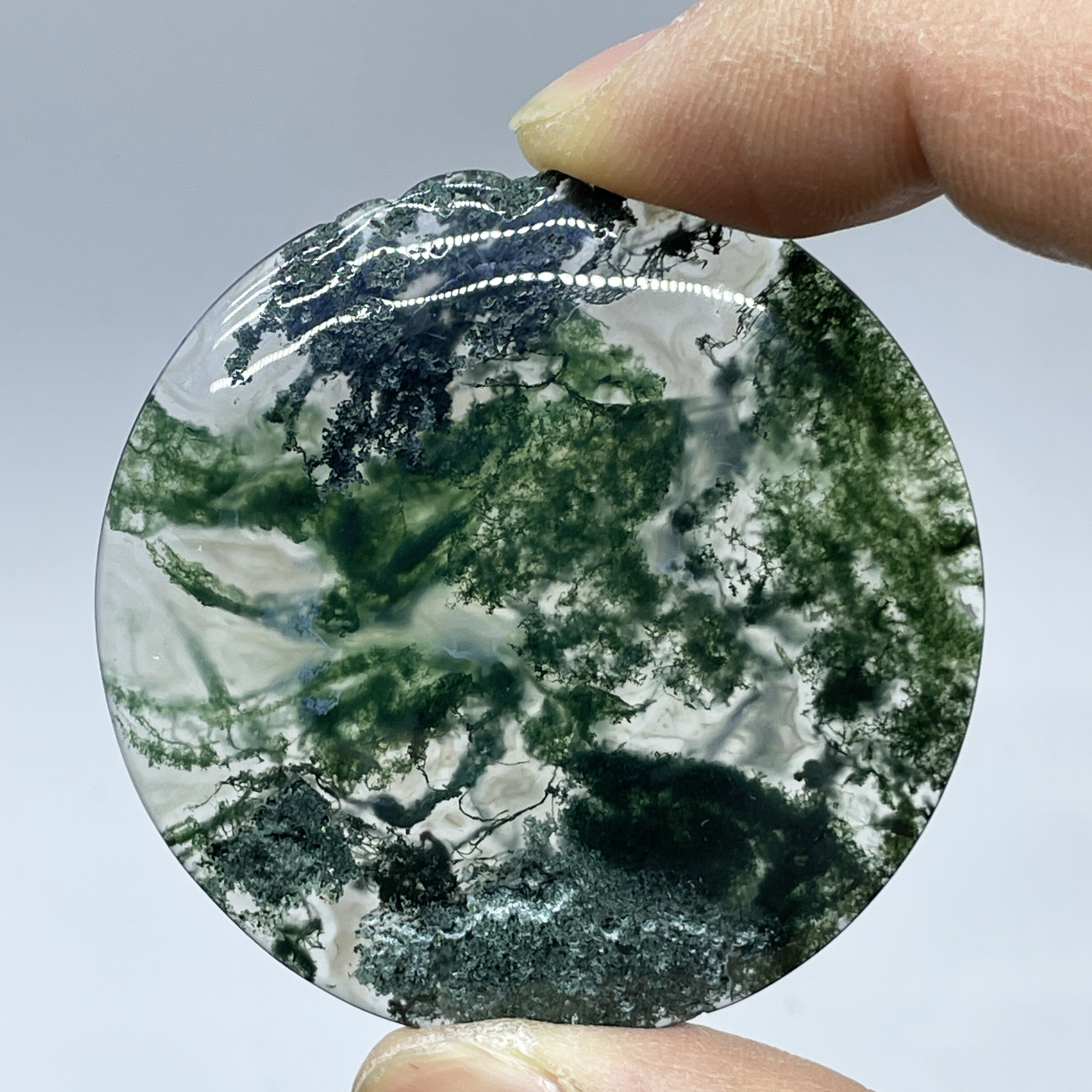 Natural Crystal Moss Agate Wat - Terrarium Moss Art 리뷰 및 가격