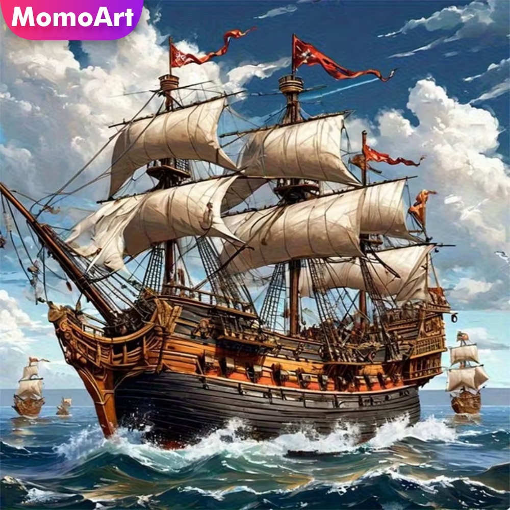 Momoart Diamond Painting Ship  - Resin Craft For Beginners 리뷰 및 가격