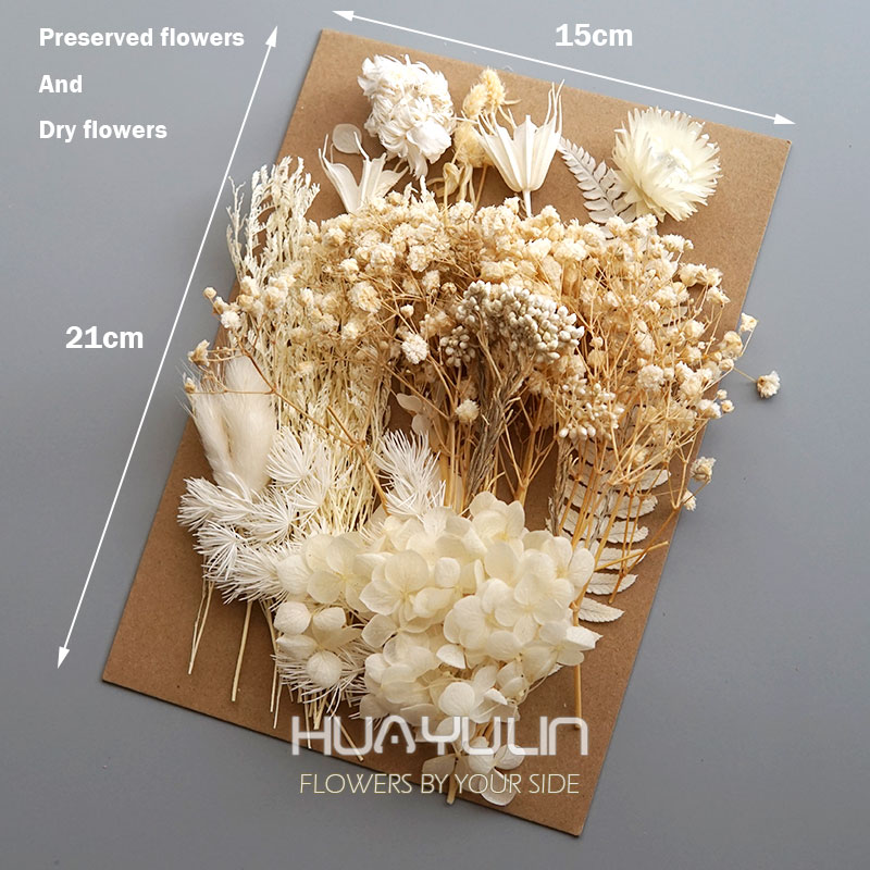 1 Pack Artificial Plants Dried - Flower Preservation Resin 리뷰 및 가격